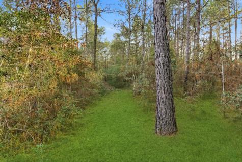 1-6-29 Dedication Trail Huntsville TX 77340