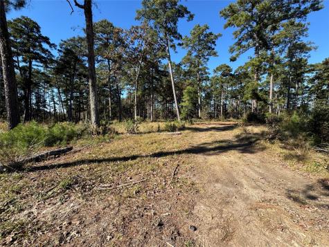 021 Private Road 6028 Brookeland TX 75931