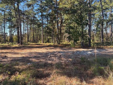 021 Private Road 6028 Brookeland TX 75931