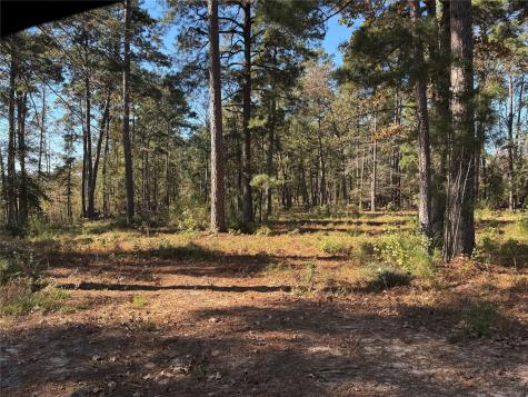 021 Private Road 6028 Brookeland TX 75931