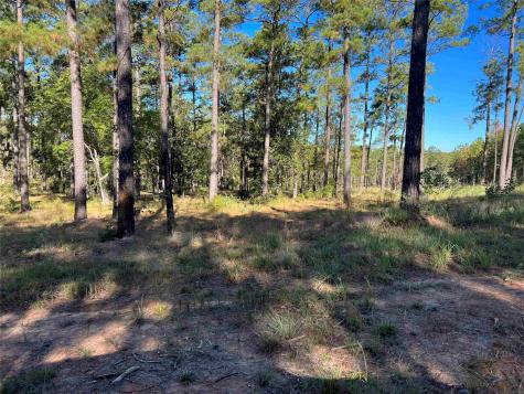 021 Private Road 6028 Brookeland TX 75931