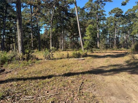 021 Private Road 6028 Brookeland TX 75931