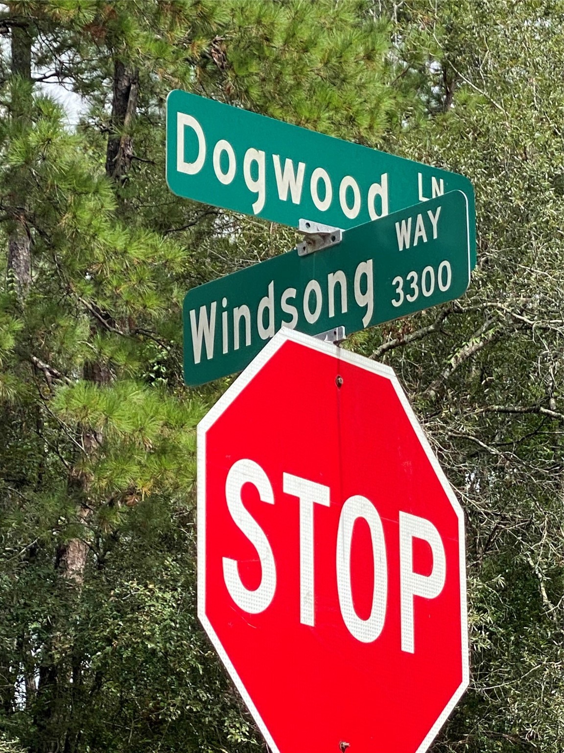 47 Dogwood Lane Porter TX 77365