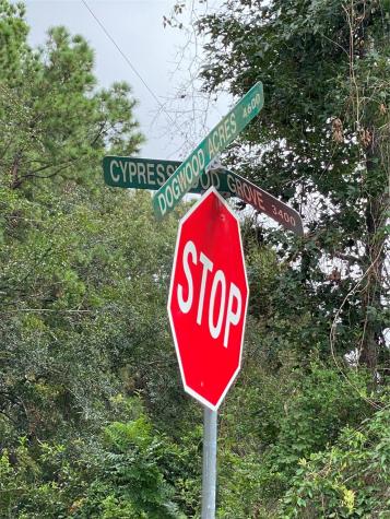 47 Dogwood Lane Porter TX 77365