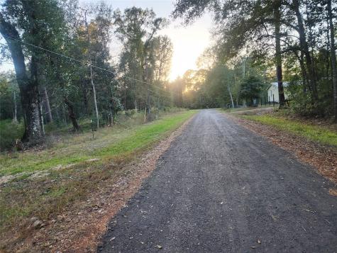 0 Dottie Lane Lane Shepherd TX 77371