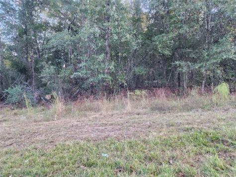 0 Dottie Lane Lane Shepherd TX 77371