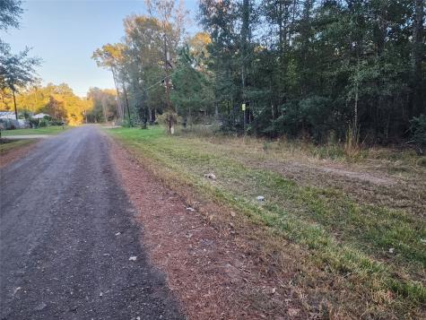 0 Dottie Lane Lane Shepherd TX 77371