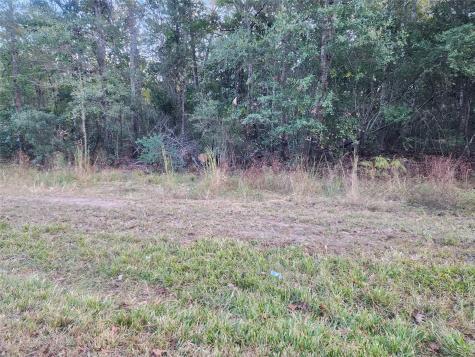 0 Dottie Lane Lane Shepherd TX 77371