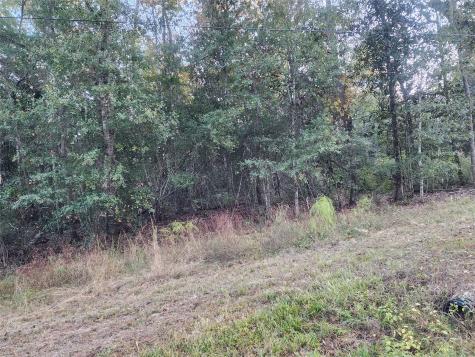 0 Dottie Lane Lane Shepherd TX 77371