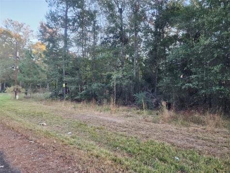 0 Dottie Lane Lane Shepherd TX 77371