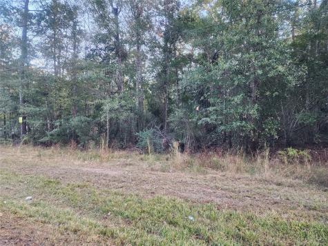 0 Dottie Lane Lane Shepherd TX 77371