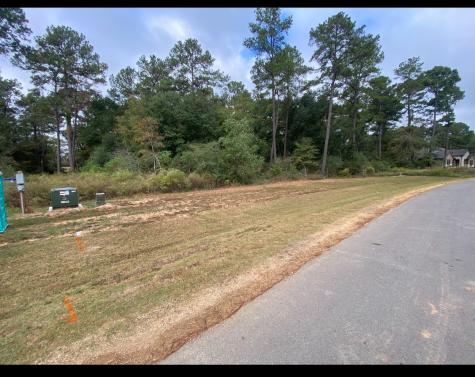 9304 Cedar Bend Court Plantersville TX 77363