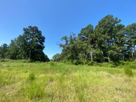 Lot 8 County Road 114 Centerville TX 75833
