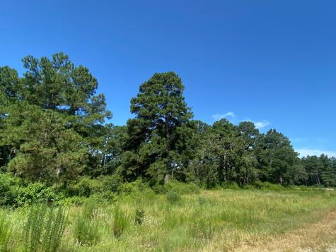 Lot 8 County Road 114 Centerville TX 75833