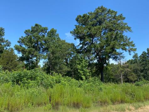 Lot 8 County Road 114 Centerville TX 75833