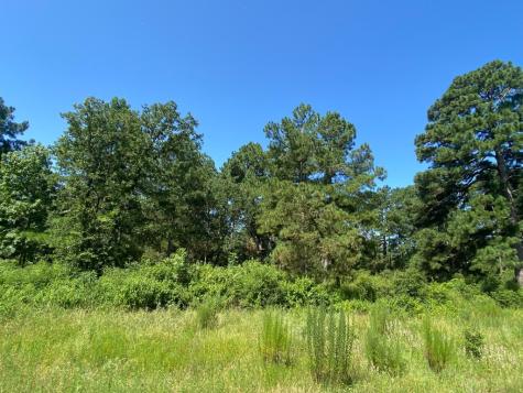 Lot 8 County Road 114 Centerville TX 75833