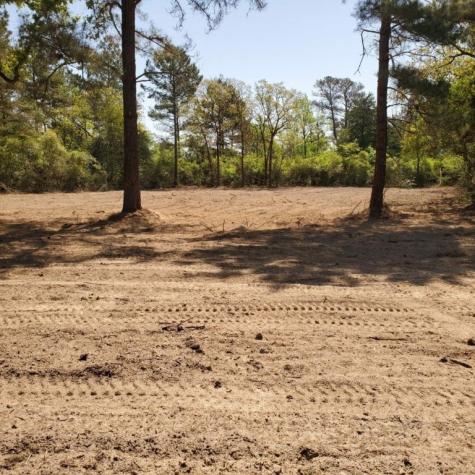 Lot 8 County Road 114 Centerville TX 75833