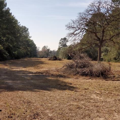Lot 8 County Road 114 Centerville TX 75833