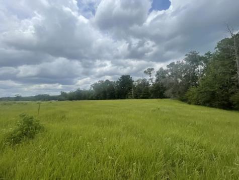 Tbd Lakeland Ranch Lot 267 Hillister TX 77624