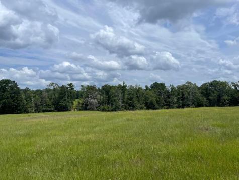Tbd Lakeland Ranch Lot 267 Hillister TX 77624