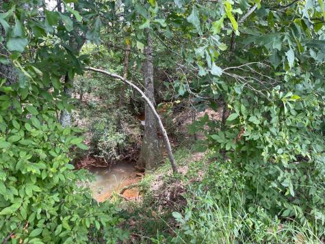Tbd Lakeland Ranch Lot 267 Hillister TX 77624