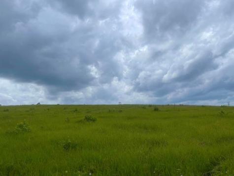 Tbd Lakeland Ranch Lot 267 Hillister TX 77624