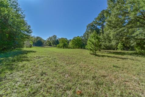 140 Little Road Loop New Waverly TX 77358