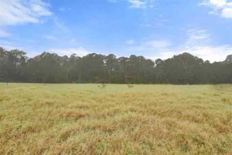 140 Little Road Loop New Waverly TX 77358