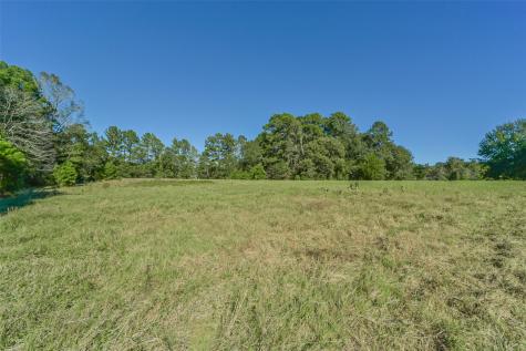 140 Little Road Loop New Waverly TX 77358