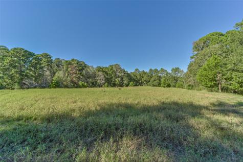 140 Little Road Loop New Waverly TX 77358