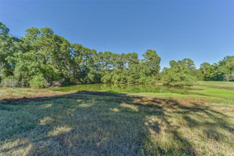 140 Little Road Loop New Waverly TX 77358