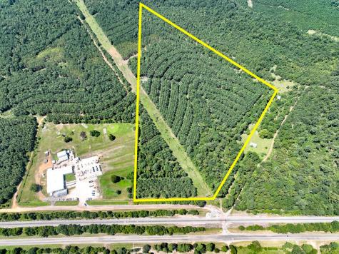 05 Highway 49 Avinger TX 75630