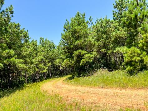 05 Highway 49 Avinger TX 75630