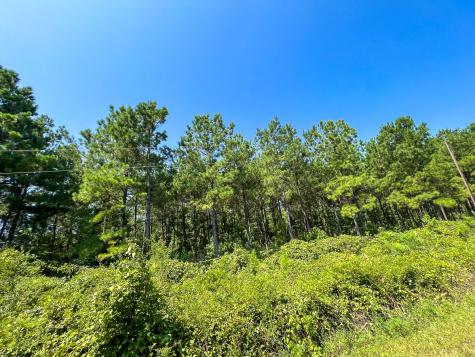 05 Highway 49 Avinger TX 75630