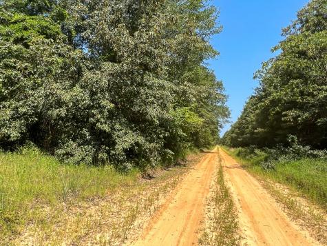 05 Highway 49 Avinger TX 75630