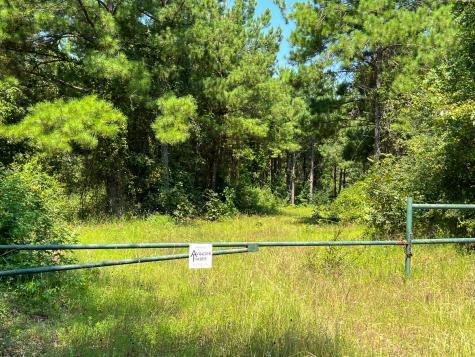 05 Highway 49 Avinger TX 75630
