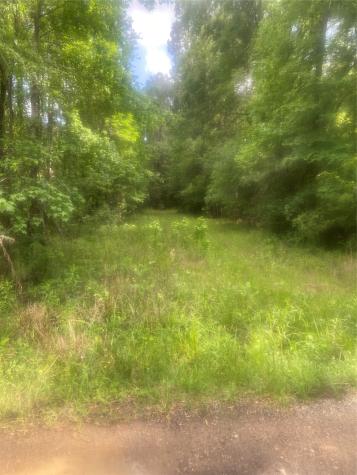 251 Pickens Loop Livingston TX 77351
