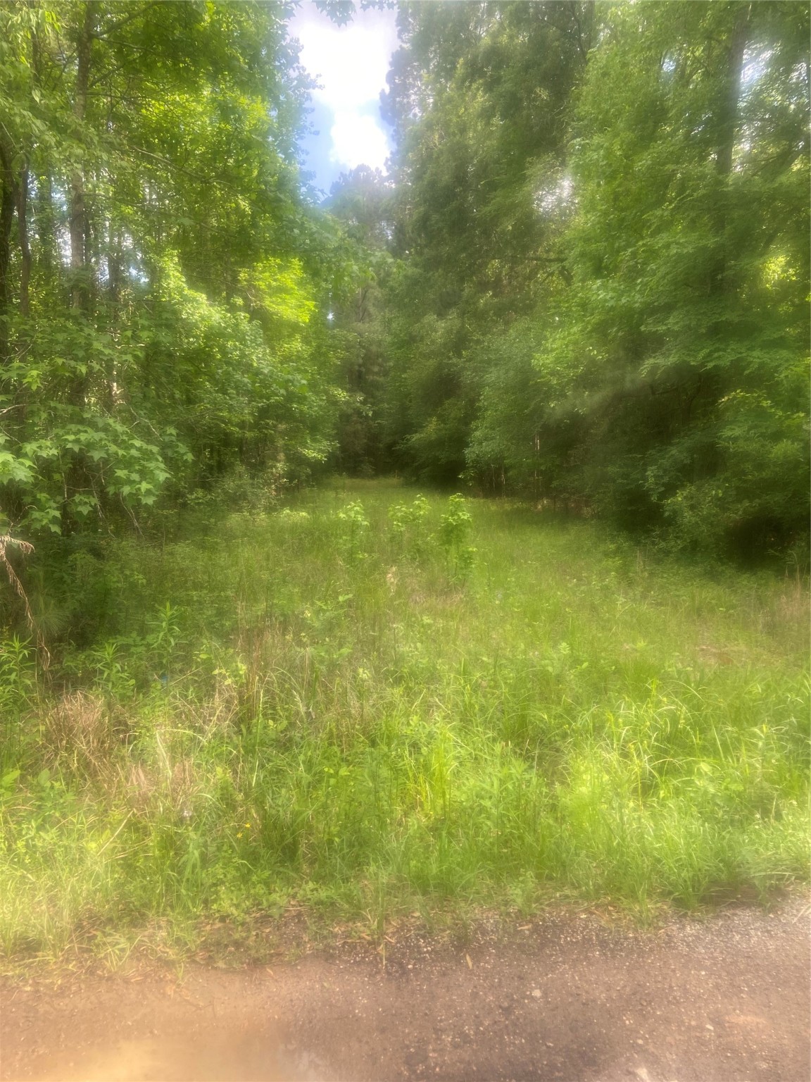 251 Pickens Loop Livingston TX 77351