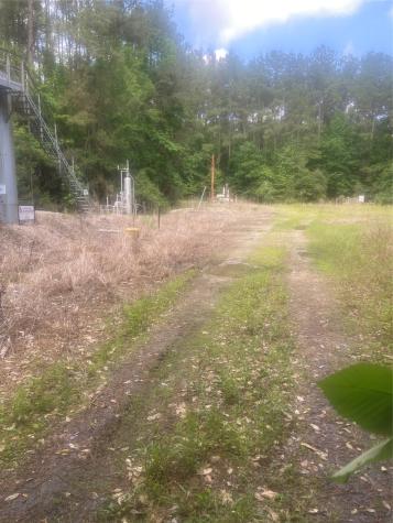 251 Pickens Loop Livingston TX 77351