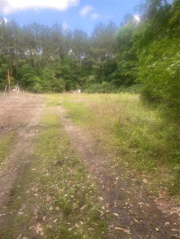 251 Pickens Loop Livingston TX 77351