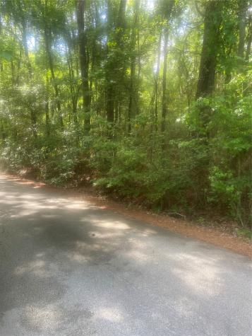 251 Pickens Loop Livingston TX 77351
