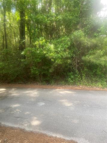 251 Pickens Loop Livingston TX 77351