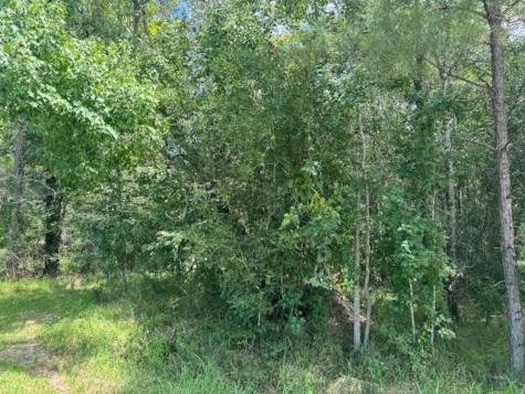 000 Pinewood Sour Lake TX 77659