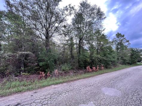 145 Tory Lane Livingston TX 77351