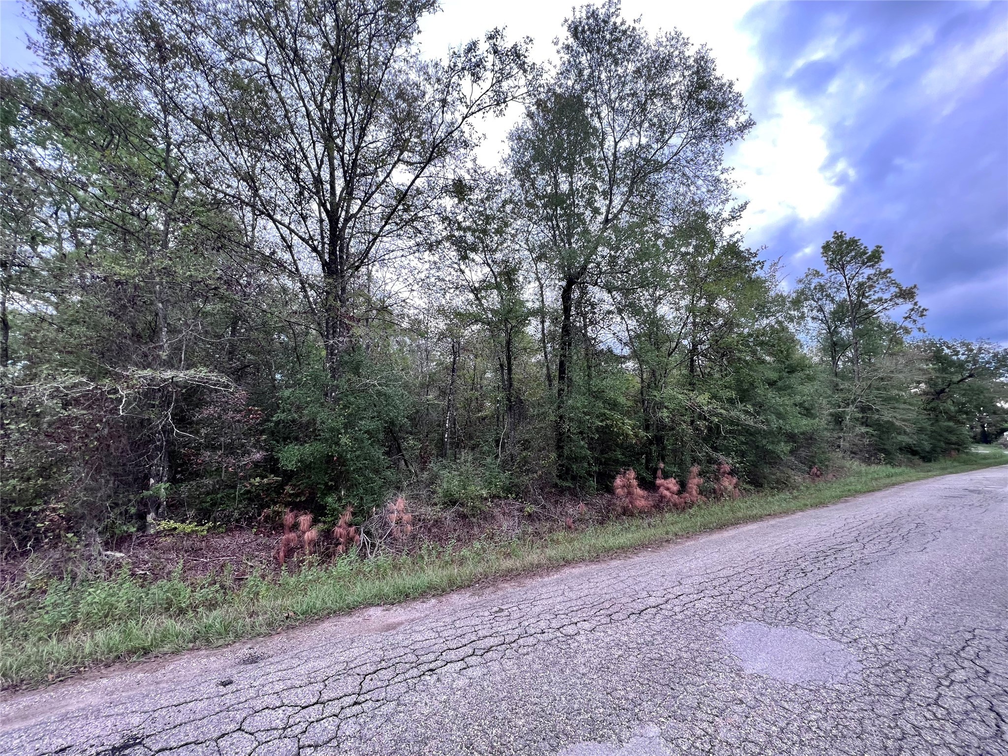 145 Tory Lane Livingston TX 77351