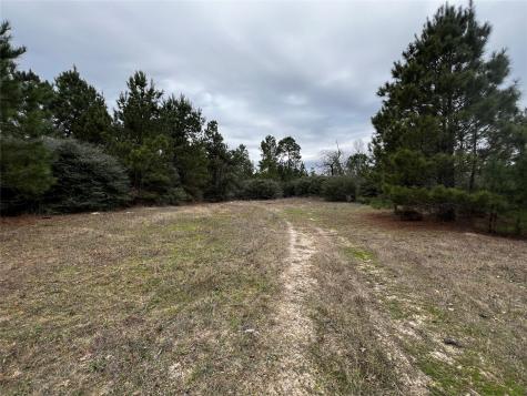 Tbd County Road 207 Centerville TX 75833