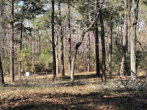 Tbd County Road 207 Centerville TX 75833