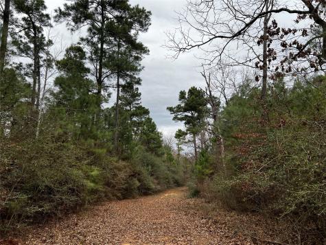 Tbd County Road 207 Centerville TX 75833
