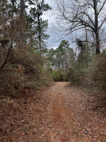 Tbd County Road 207 Centerville TX 75833