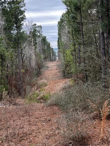 Tbd County Road 207 Centerville TX 75833